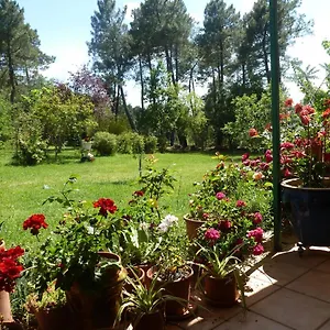 Domaine Du Planas - Patio Hébergement de vacances